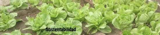 welcome_garden_esp