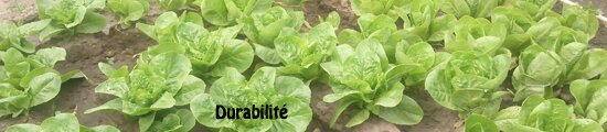 welcome_garden_fr